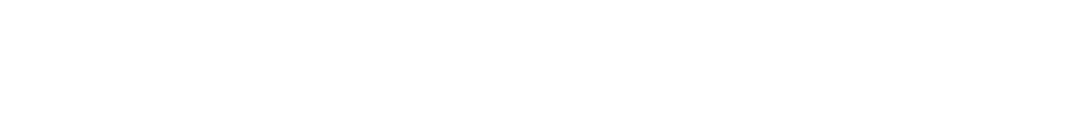 DevTeam Group